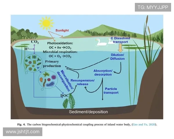 深度探索全球电竞产业生态构建机制与职业选手维成长路径综合分析